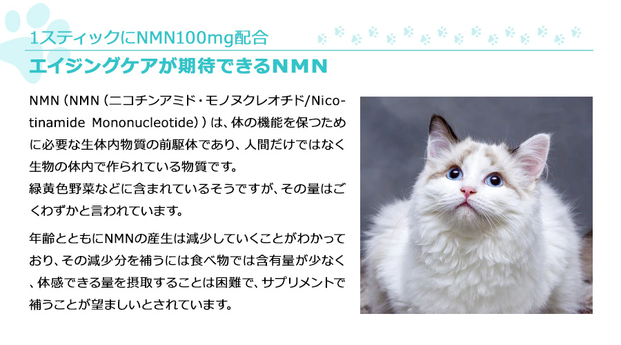 猫用サプリメント　NMN配合　エイジングケアが期待できるNMN100mg配合